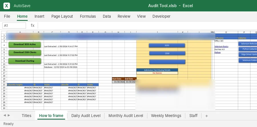 Client-Level Audit Tool